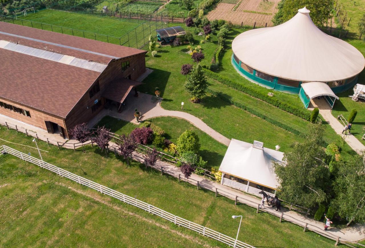 Domeniul Dracula Danes Hotell Exteriör bild