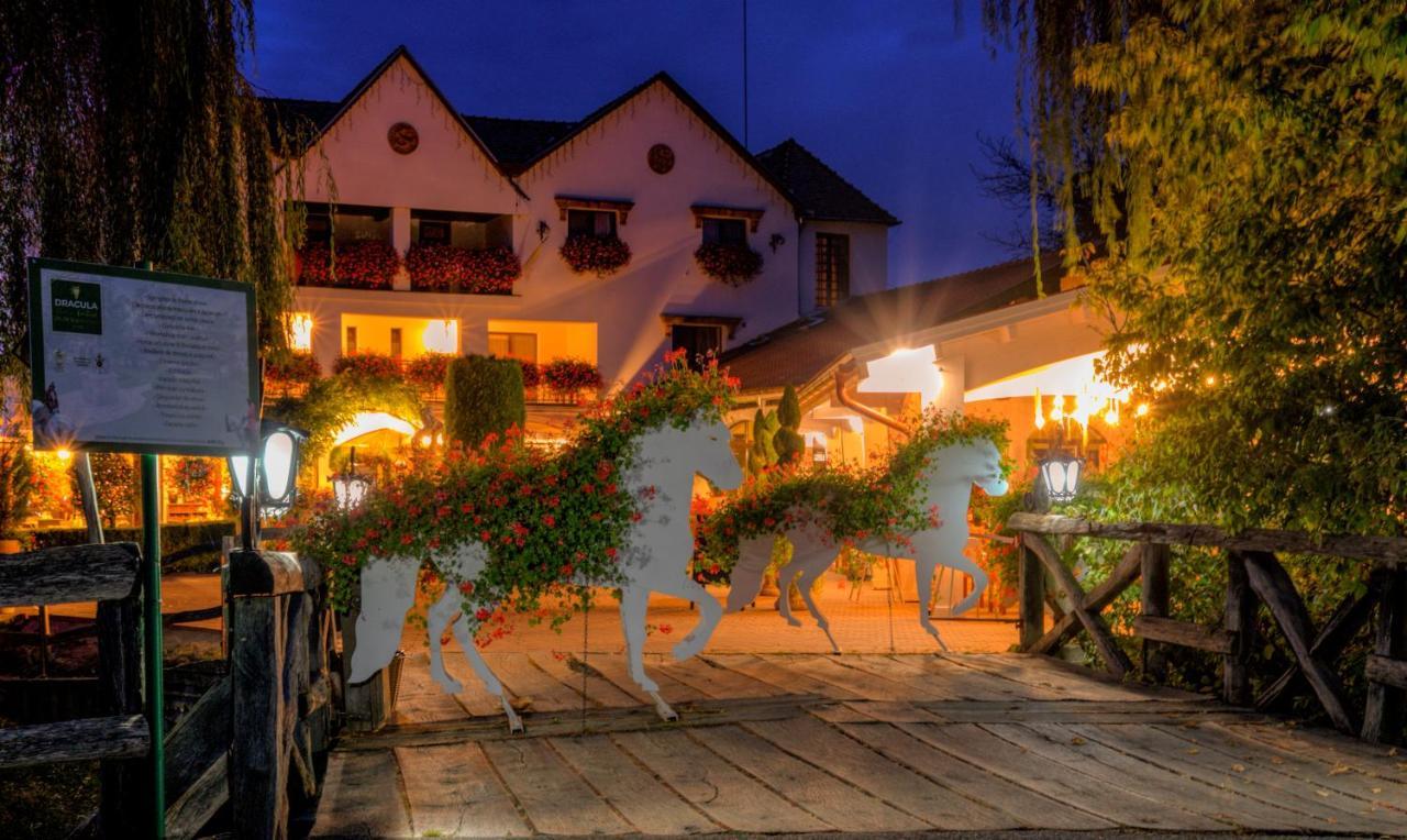 Domeniul Dracula Danes Hotell Exteriör bild